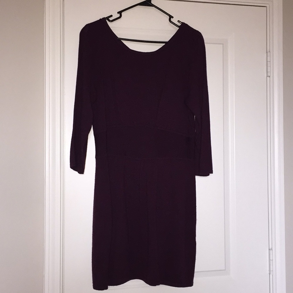 Express Sweater Dress